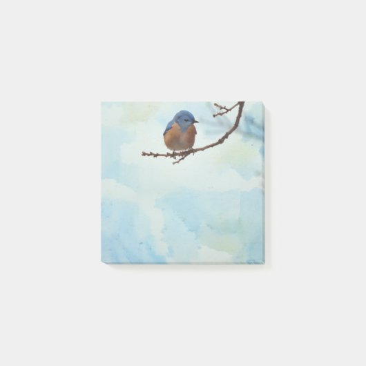 Bluebird Bird Art Natuur Post It Note Pad (Voorkant)