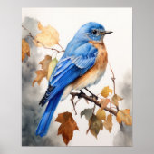Bluebird Bird Art Print Poster (Voorkant)