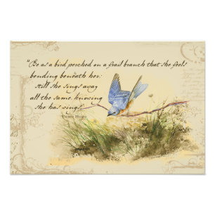 Bluebird Bird on a Branch Victor Hugo Poem Foto Afdruk