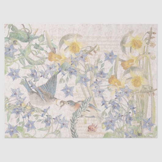 Bluebird Birds Narcissus Flowers Tissue Paper Tissuepapier (Voorkant)