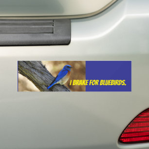Bluebird bumpersticker