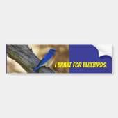 Bluebird bumpersticker (Voorkant)