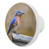 Bluebird Ceramic Knob. Keramische Knop (Rechts)