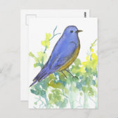 Bluebird Desert Sagebrush Waterverf Briefkaart (Voorkant / Achterkant)