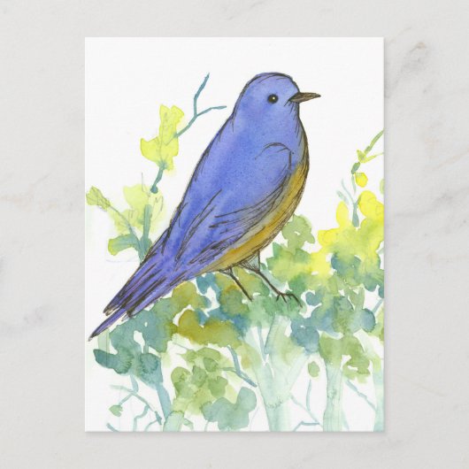 Bluebird Desert Sagebrush Waterverf Briefkaart (Voorkant)