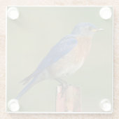 BLUEBIRD DIE OP EEN STAKE RESTERT GLAZEN ONDERZETTER (Achterkant)