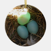 Bluebird Eggs Ornament (Voorkant)