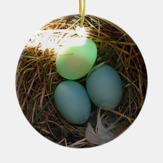 Bluebird Eggs Ornament (Voorkant)