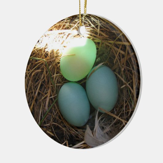 Bluebird Eggs Ornament (Links)