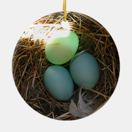 Bluebird Eggs Ornament (Achterkant)