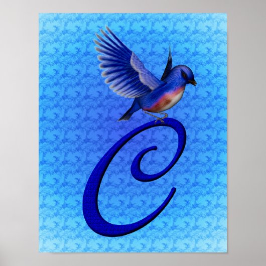 Bluebird Elegant Monogram Beginletter C Poster (Voorkant)