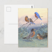 Bluebird en Robin  Briefkaart (Voorkant / Achterkant)