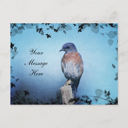 Bluebird Enchanted _ Briefkaarten (Voorkant)