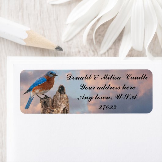 BLUEBIRD ETIKET (Insitu)