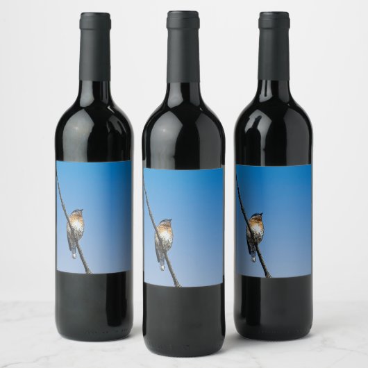 Bluebird Food and Beverage Label Set Wijn Etiket (Flessen)
