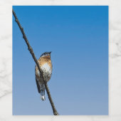 Bluebird Food and Beverage Label Set Wijn Etiket (Enkel label)