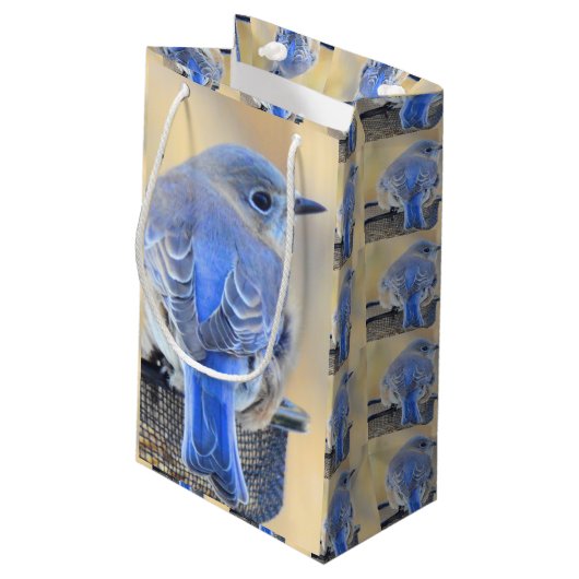 Bluebird Gift Bag Klein Cadeauzakje (Achterkant Gekanteld)