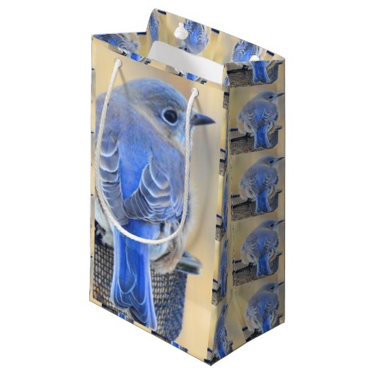 Bluebird Gift Bag Klein Cadeauzakje (Voorkant Gekanteld)