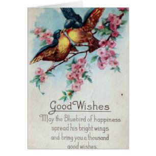  Bluebird Good Wishes
