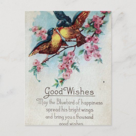  Bluebird Good Wishes Briefkaart (Voorkant)