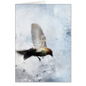 Bluebird Grunge (Voorkant)