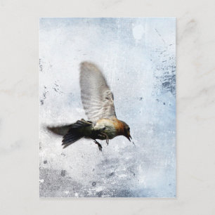 Bluebird Grunge Briefkaart