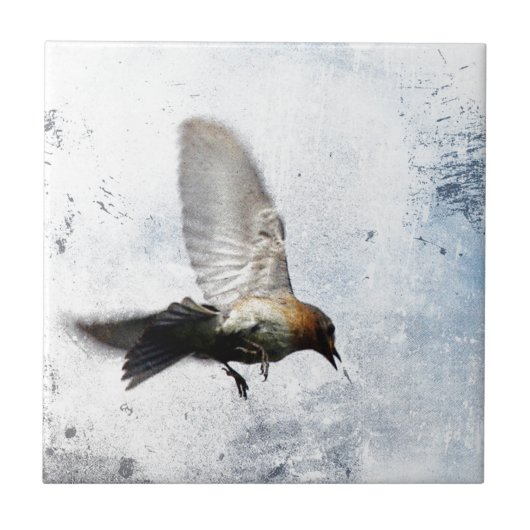 Bluebird Grunge Tegeltje (Voorkant)
