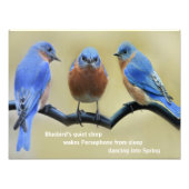 Bluebird Haiku Poster (Voorkant)