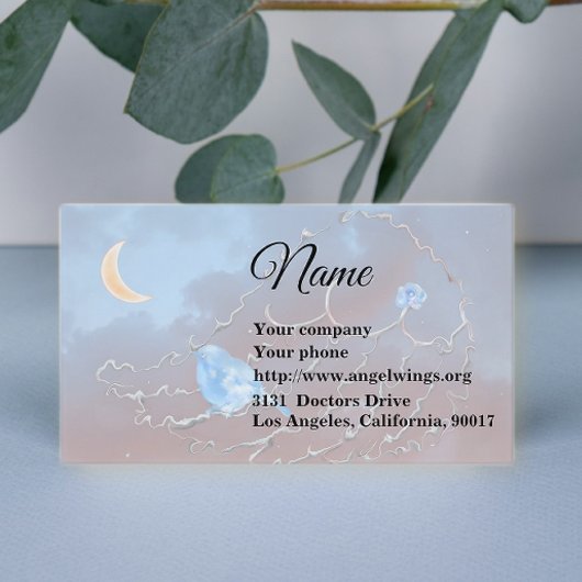 Bluebird & het Visitekaartje van de Maan