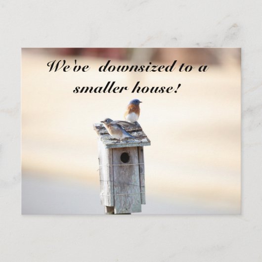 Bluebird House - Funny Change Address Briefkaart (Voorkant)