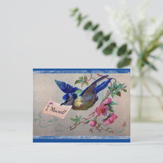  Bluebird I Moved Briefkaart (Staand voorkant)