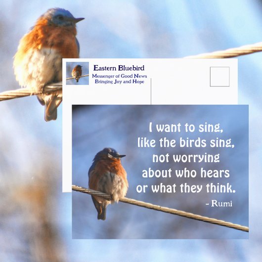Bluebird Ik wil Rumi Quote Photographic zingen Briefkaart