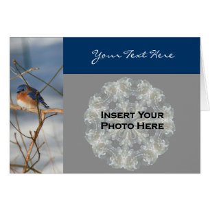 Bluebird in Winter Natuur Fotokaart