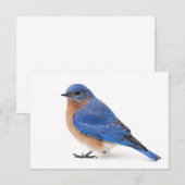 Bluebird Kaart (Voorkant / Achterkant)