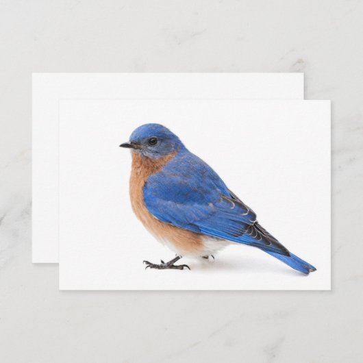 Bluebird Kaart (Voorkant / Achterkant)