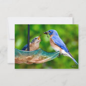 Bluebird kaart Natuur notitiekaart (Voorkant)