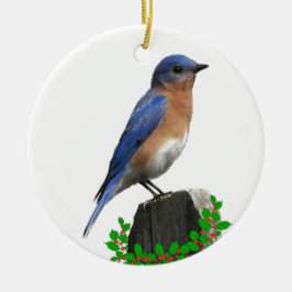 Bluebird kerst keramisch ornament