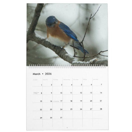 Bluebird Lovers Kalender (Mar 2026)