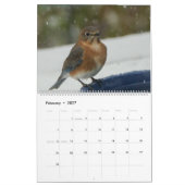 Bluebird Lovers Kalender (Feb 2027)