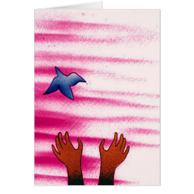 Bluebird - Ltd Edition (Voorkant)