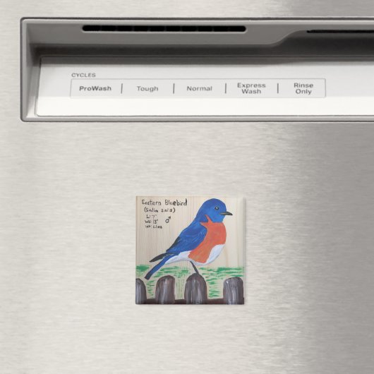 Bluebird Magnet (Insitu (Vaatwasser))