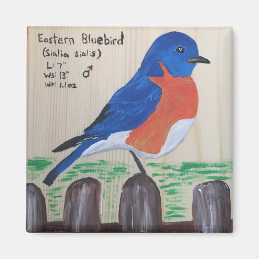 Bluebird Magnet (Voorkant)