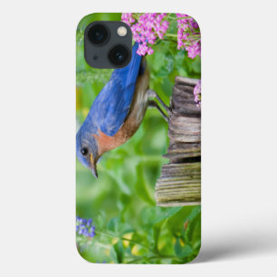 Bluebird male on fence post in flower garden Case-Mate iPhone case