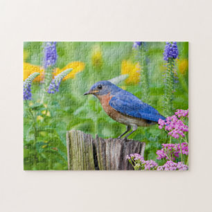 Bluebird male on fence post in flower garden legpuzzel