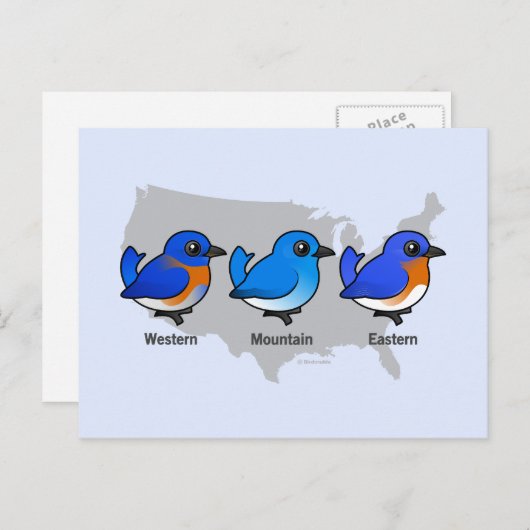 Bluebird Map Briefkaart (Voorkant / Achterkant)