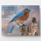 BLUEBIRD - Matthew 6:26 Fotoplaat (Voorkant)