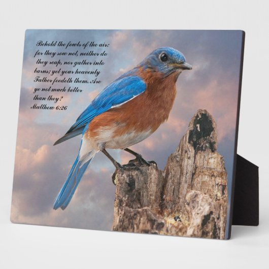 BLUEBIRD - Matthew 6:26 Fotoplaat (Zijkant)