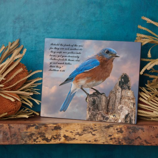 BLUEBIRD - Matthew 6:26 Fotoplaat (Zijkant)