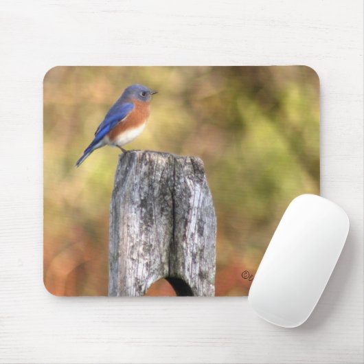 Bluebird Mousepad Muismat (Met muis)