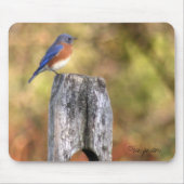 Bluebird Mousepad Muismat (Voorkant)
